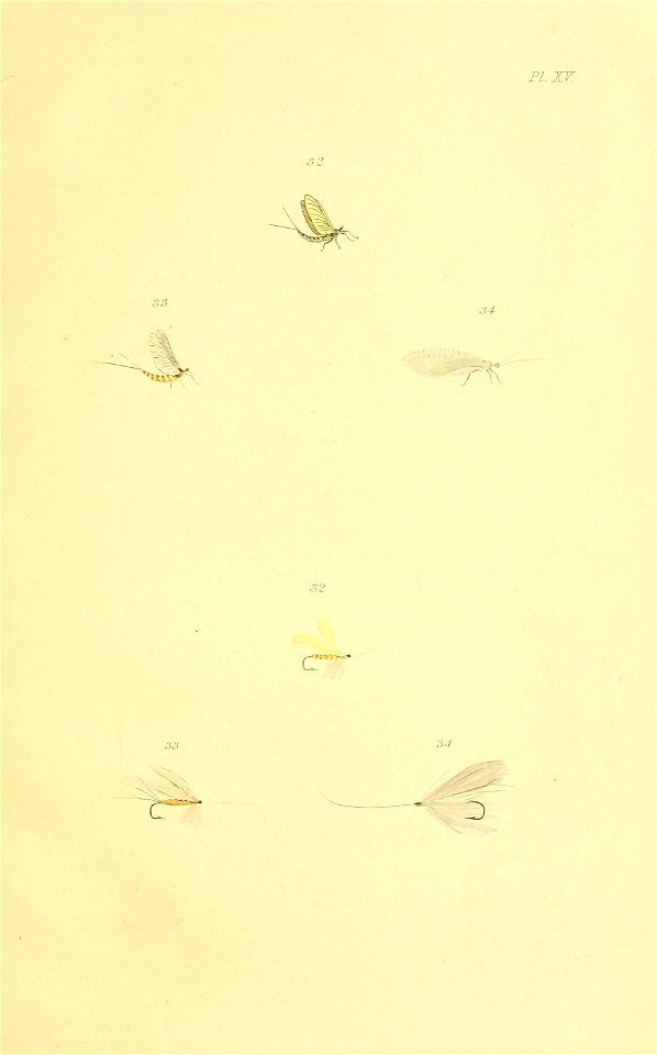 n158_w1150
