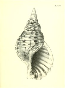 n176_w1150