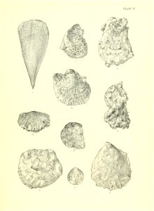 n236_w1150