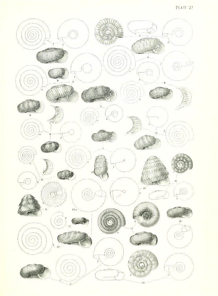 n116_w1150