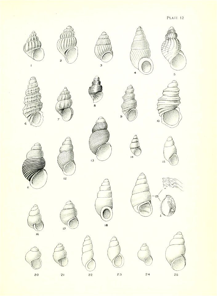 n56_w1150