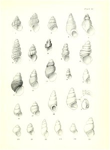 n56_w1150
