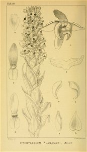 n409_w1150