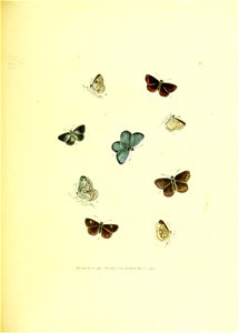 n162_w1150