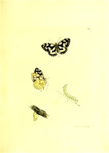 n102_w1150