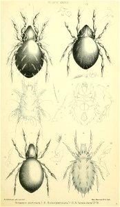 n368_w1150