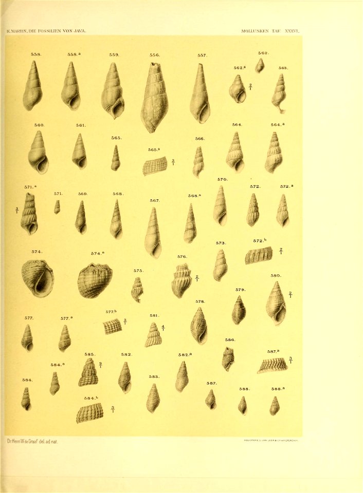 n466_w1150