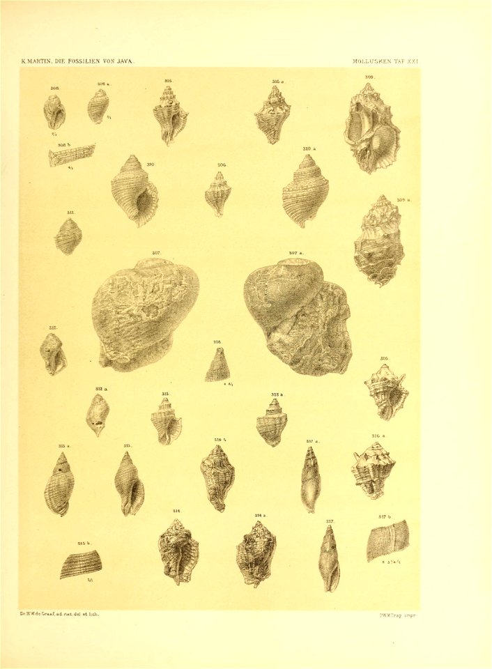 n338_w1150