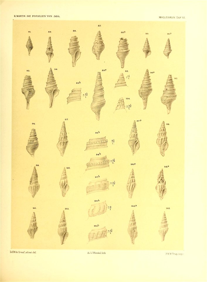 n182_w1150