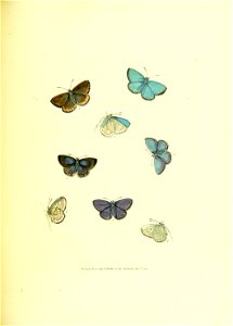n158_w1150