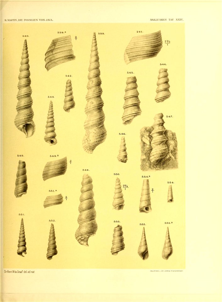 n462_w1150