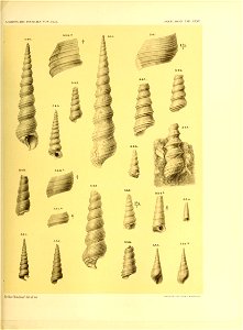 n462_w1150