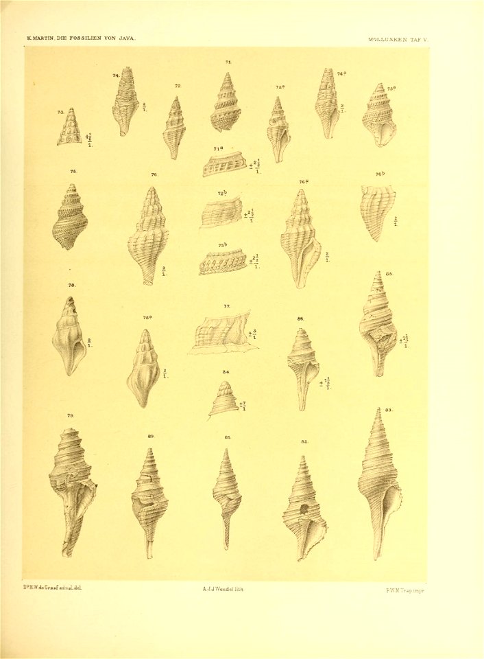 n178_w1150