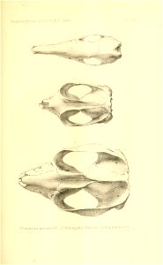 n68_w1150