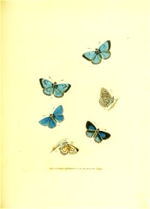 n154_w1150