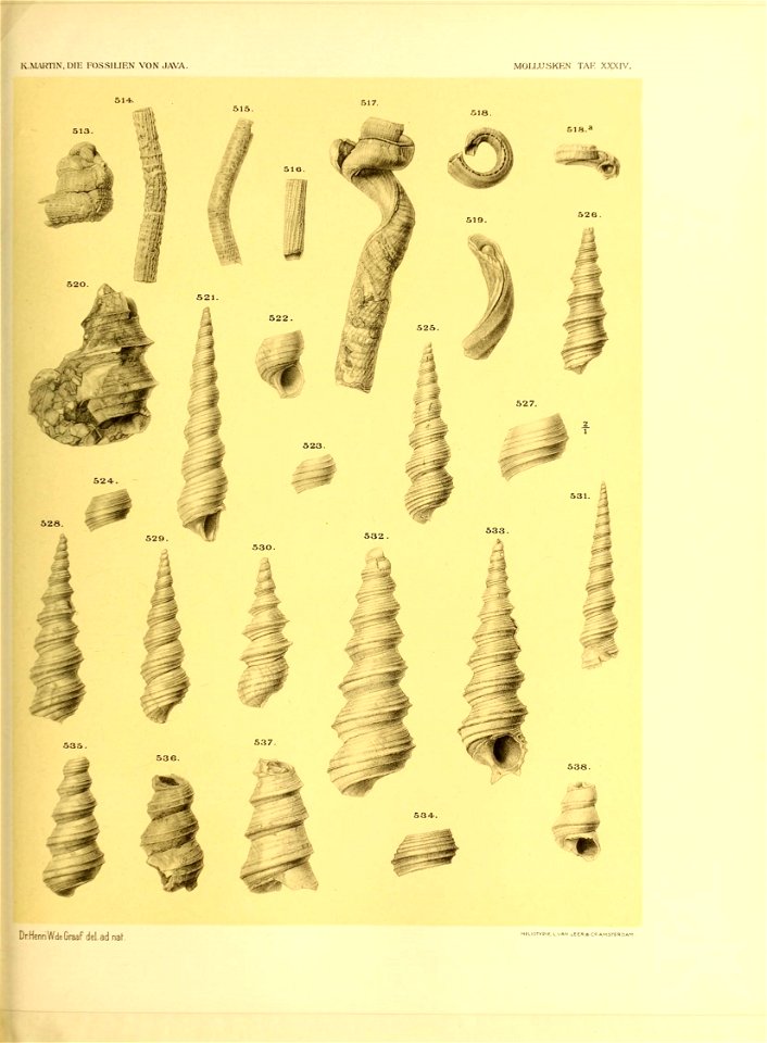 n458_w1150