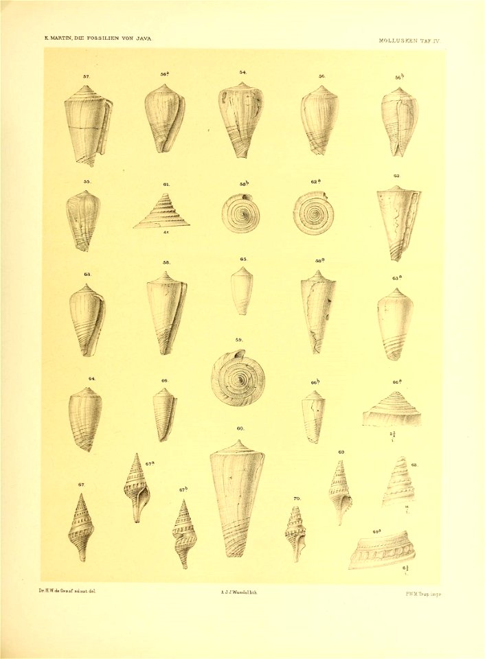 n174_w1150