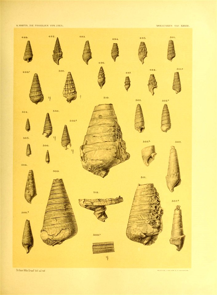 n386_w1150