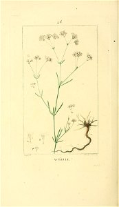 n255_w1150