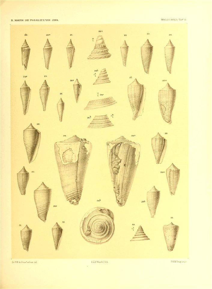 n166_w1150