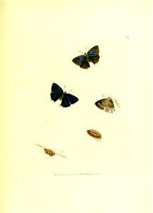 n178_w1150