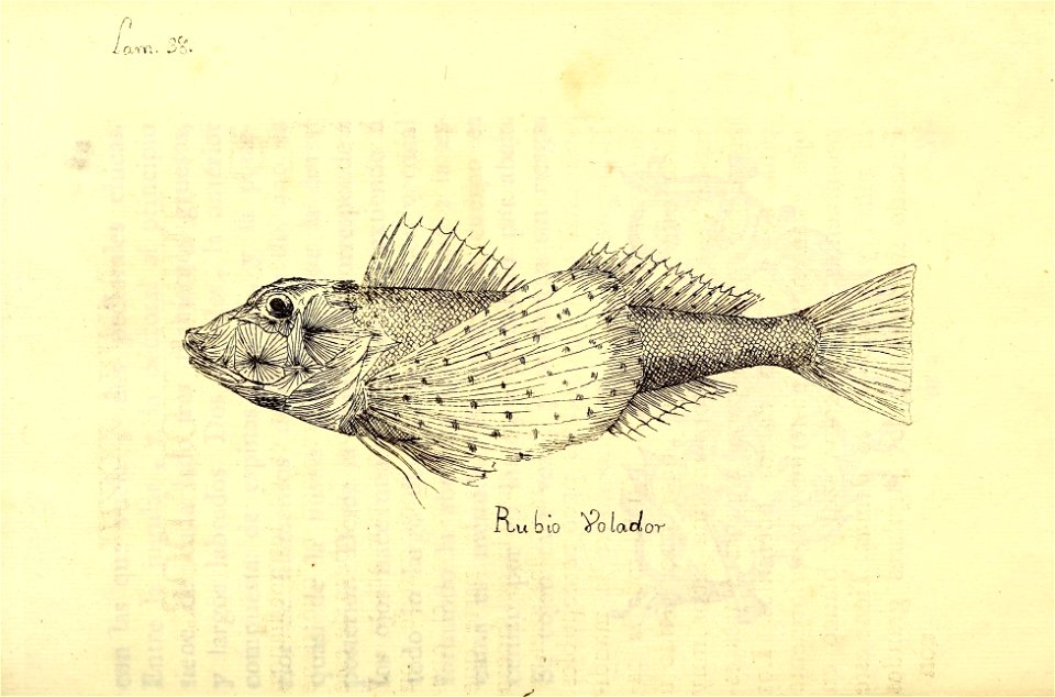 n192_w1150