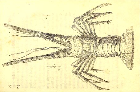 n268_w1150