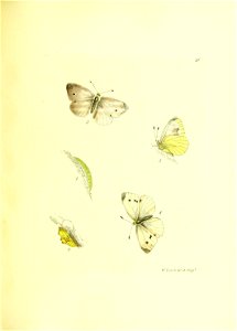 n114_w1150
