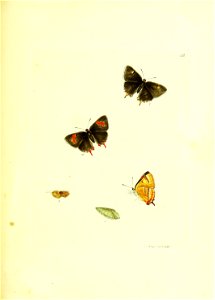 n174_w1150