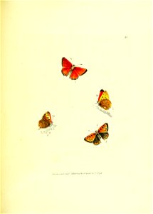 n170_w1150