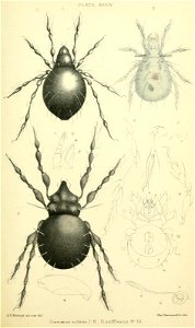n376_w1150