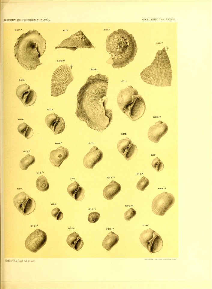 n474_w1150