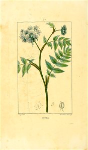 n57_w1150