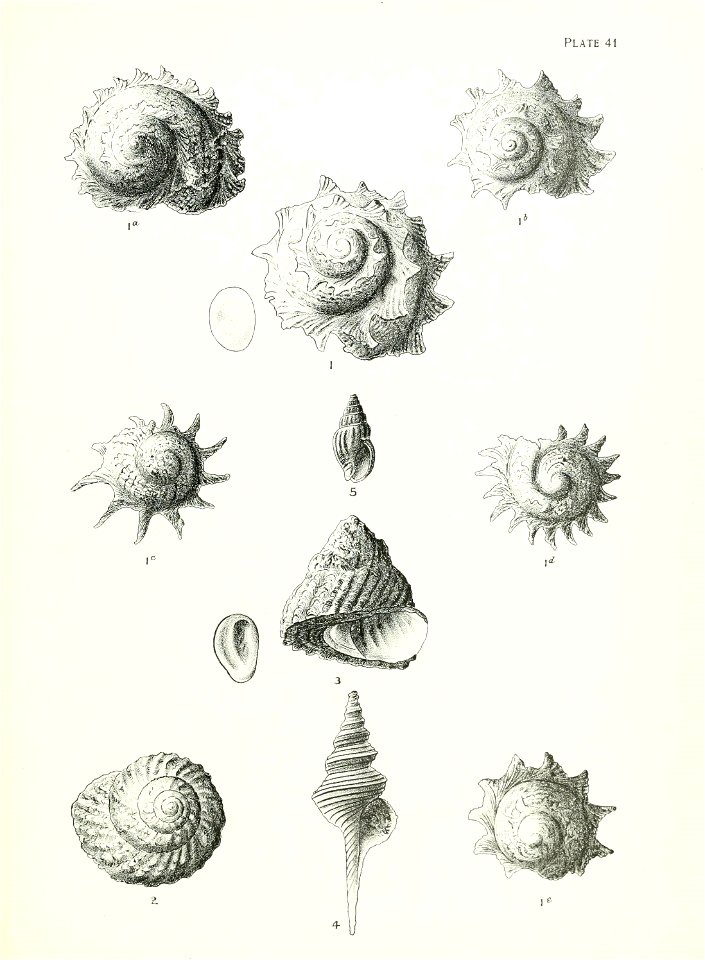 n172_w1150