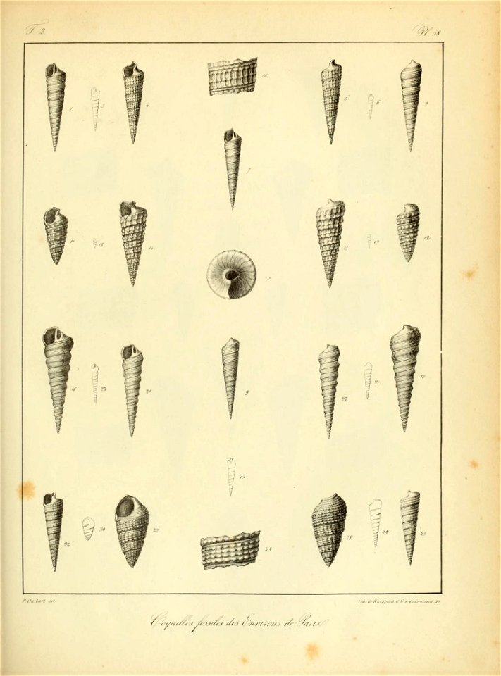 n166_w1150