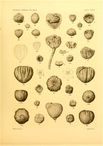 n172_w1150