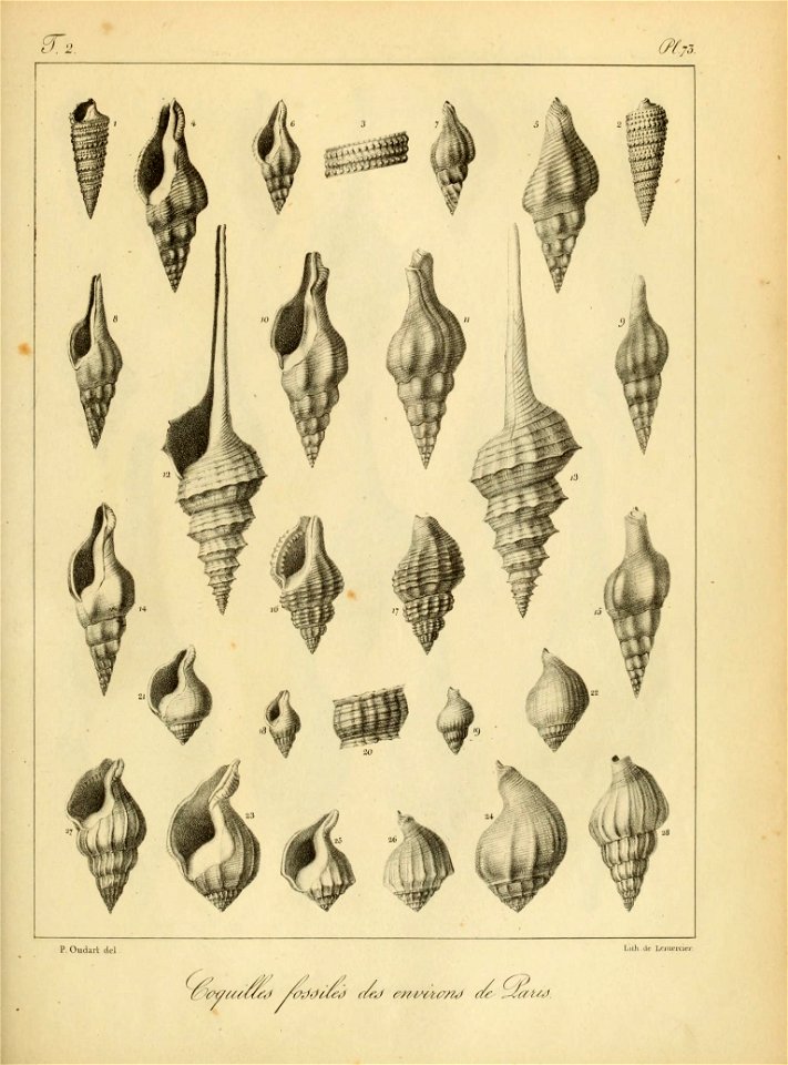 n196_w1150