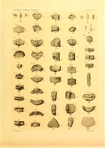 n112_w1150