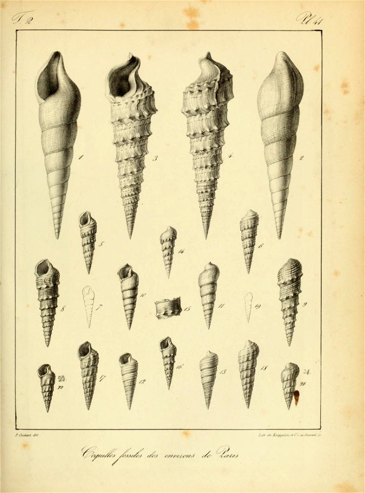 n134_w1150