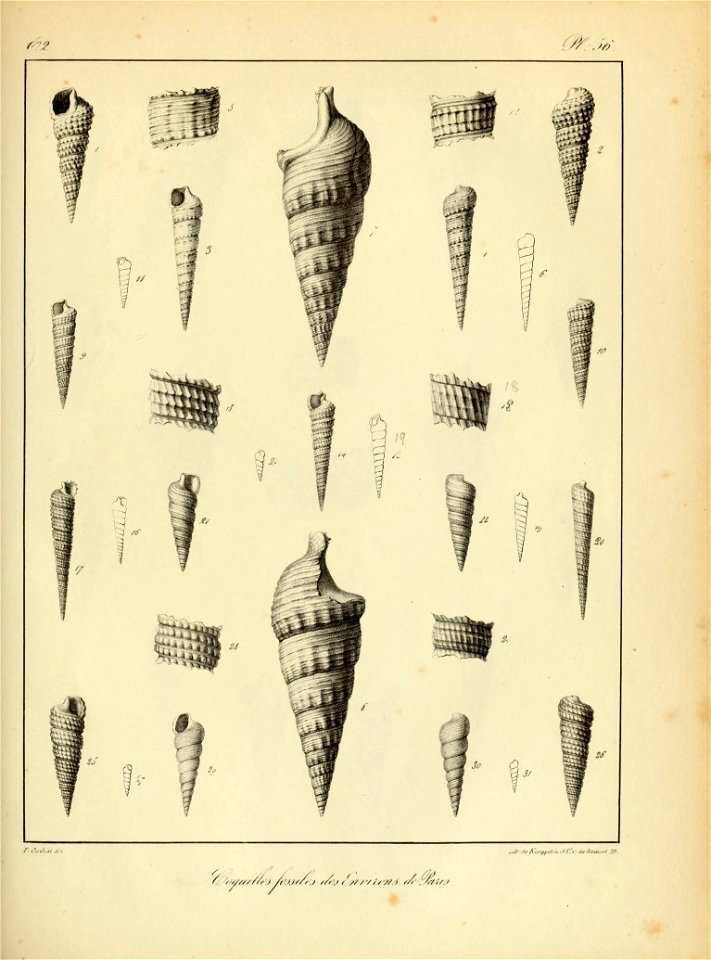 n162_w1150