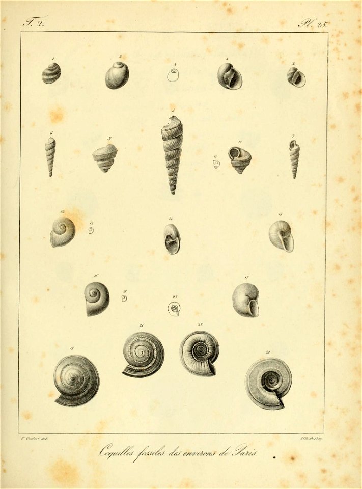 n102_w1150