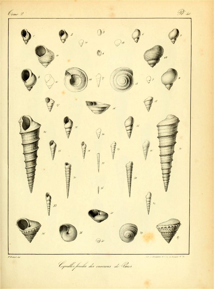 n132_w1150