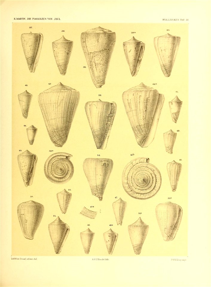 n170_w1150