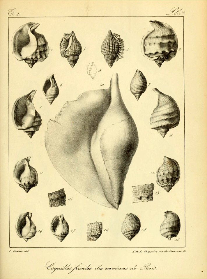 n220_w1150
