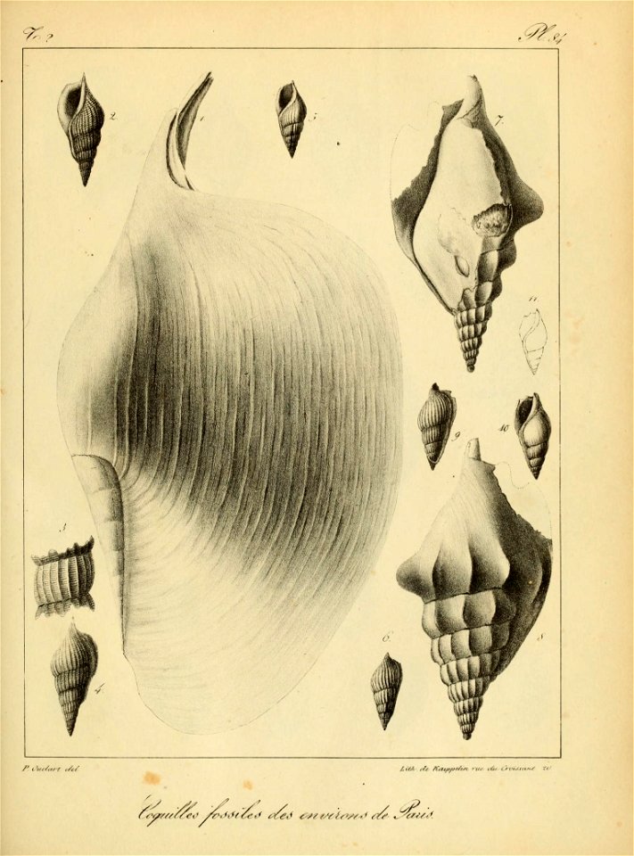 n218_w1150