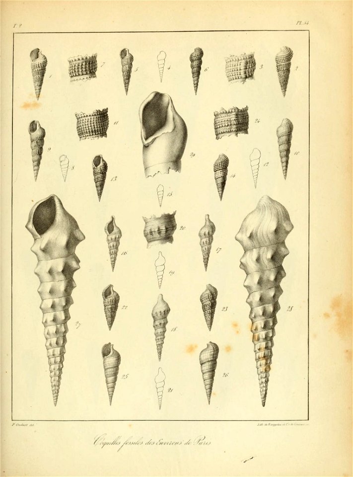 n158_w1150