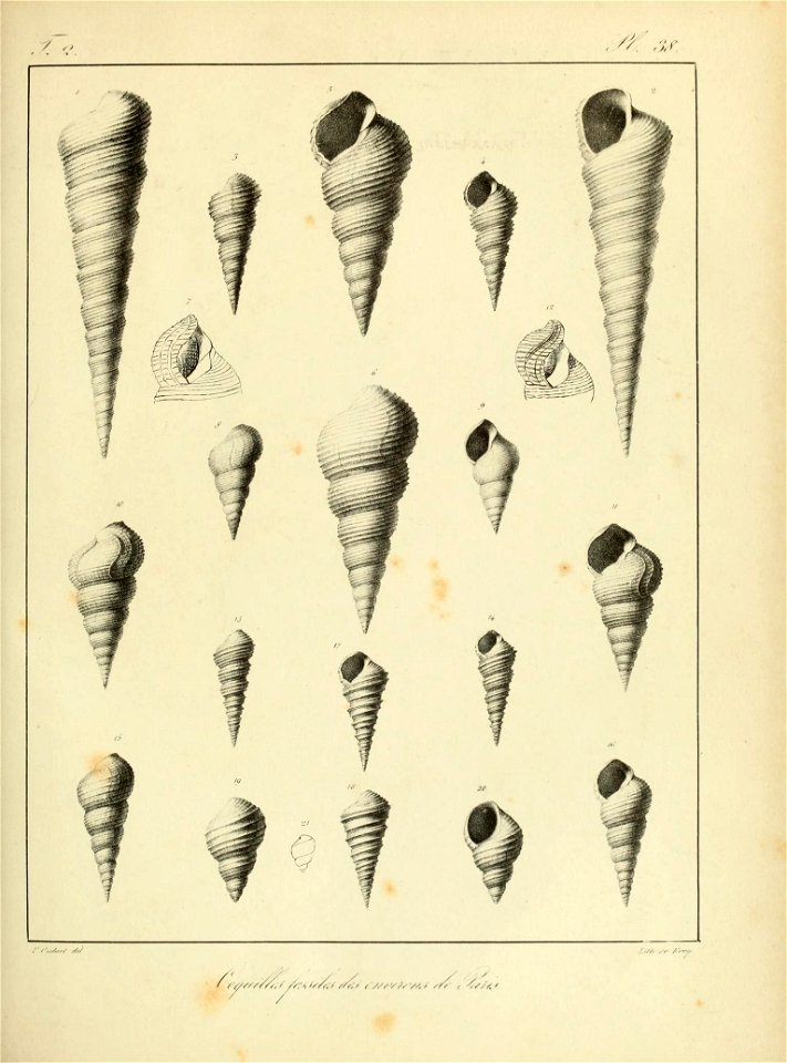 n128_w1150