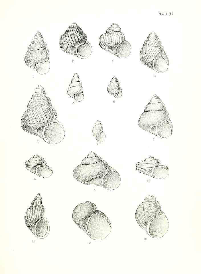 n148_w1150