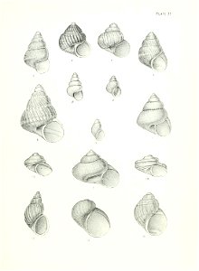 n148_w1150
