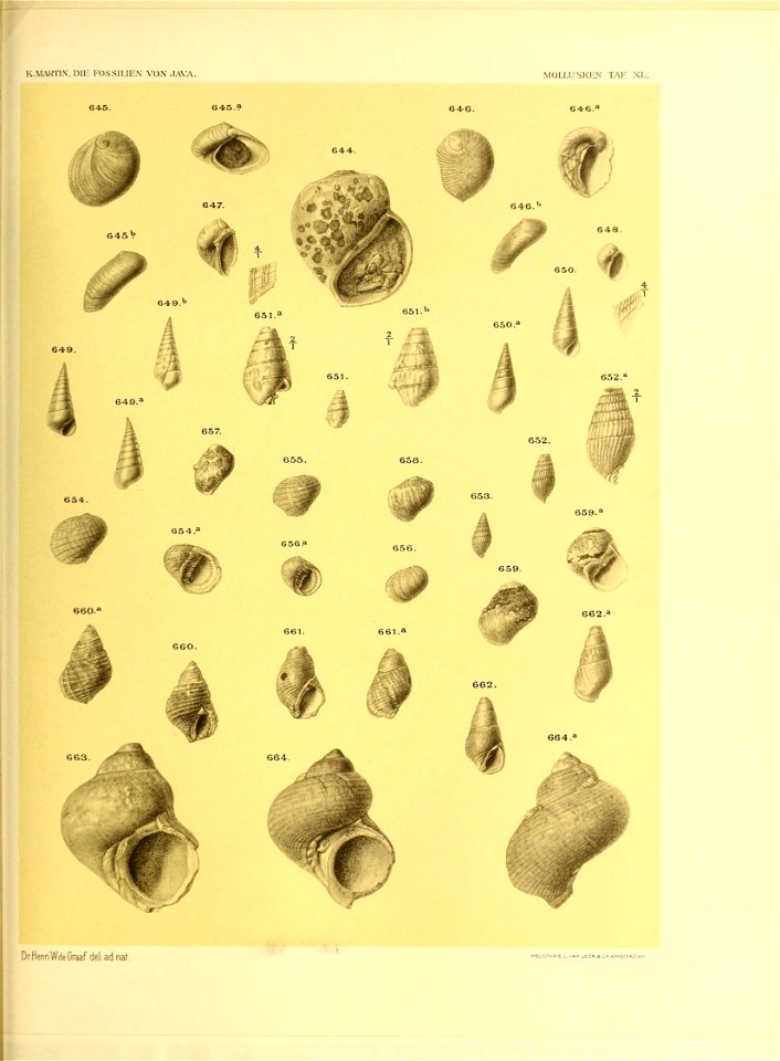 n482_w1150